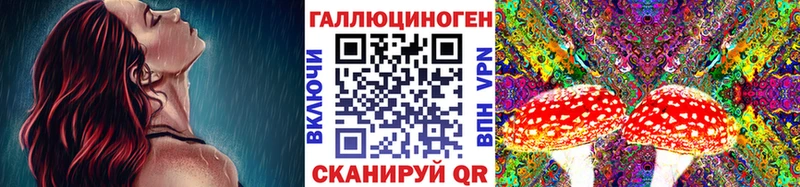 Галлюциногенные грибы Cubensis  Лаишево 